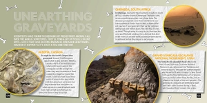 jurassic smarts - Ảnh 5