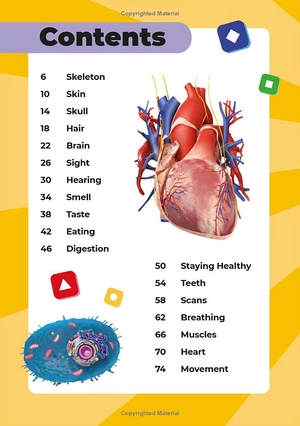 kahoot! quiz time human body - Ảnh 6