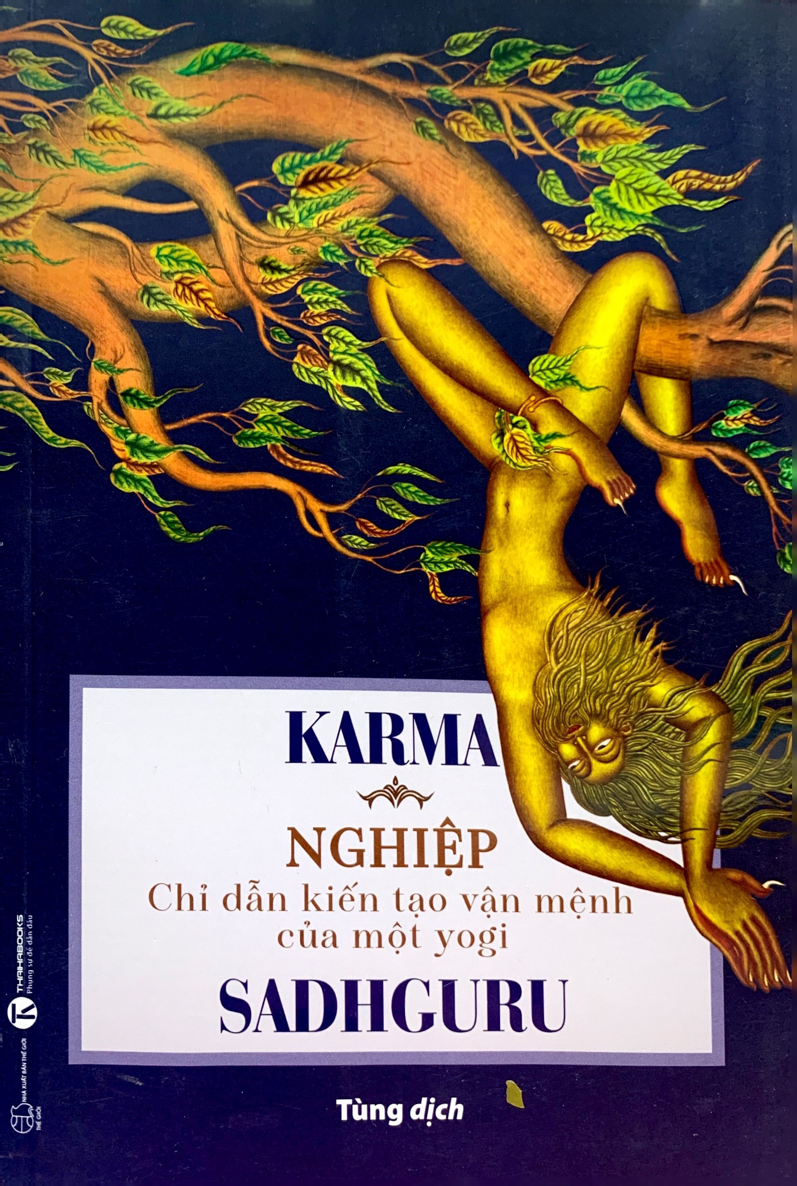 karma - nghiệp: chỉ dẫn kiến tạo vận mệnh của một yogi - Ảnh 2
