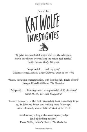 kat wolfe takes the case (wolfe & lamb) - Ảnh 3