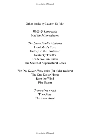 kat wolfe takes the case (wolfe & lamb) - Ảnh 4