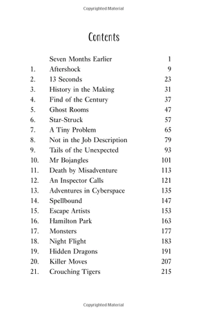 kat wolfe takes the case (wolfe & lamb) - Ảnh 6
