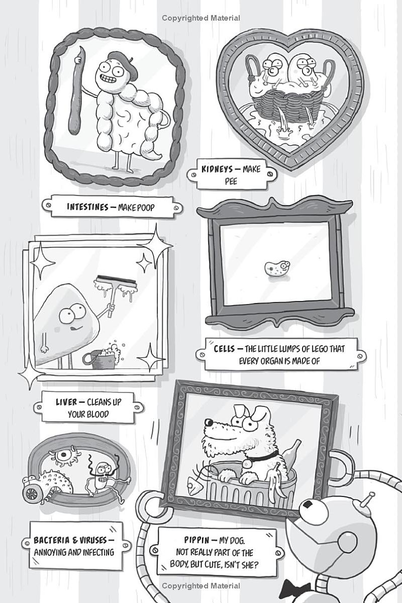 Kay's Anatomy - Ảnh 13