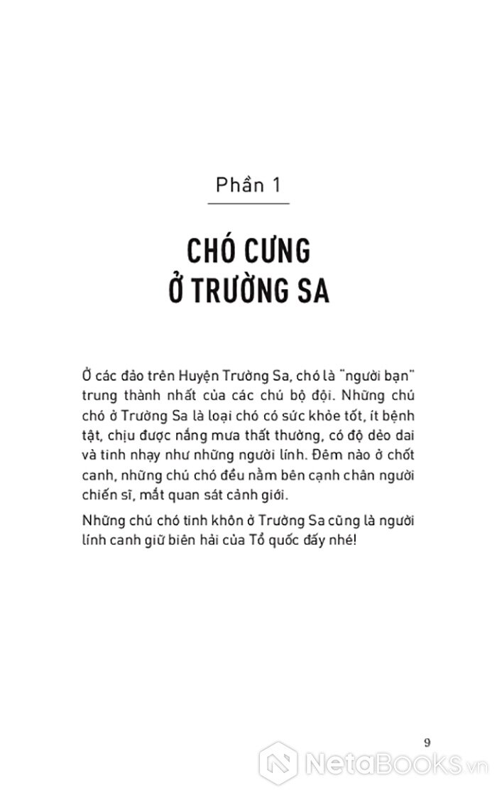 kể chuyện biển đảo - một chuyến du hành ra trường sa và nhà giàn dk1 - Ảnh 4