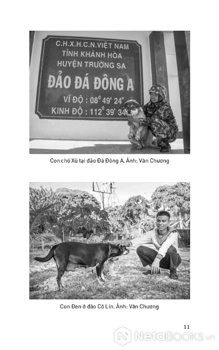 kể chuyện biển đảo - một chuyến du hành ra trường sa và nhà giàn dk1 - Ảnh 6