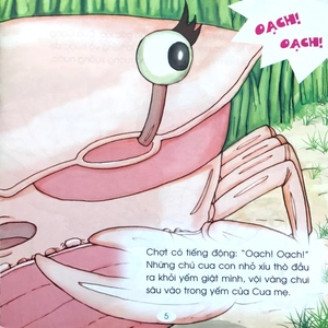 kể chuyện mẫu giáo: vì sao cua lại bò ngang? - Ảnh 5