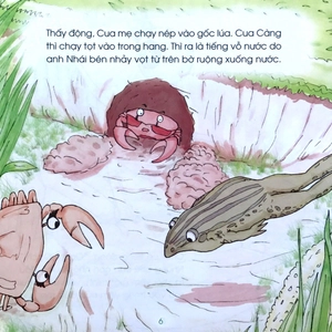 kể chuyện mẫu giáo: vì sao cua lại bò ngang? - Ảnh 6