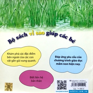 kể chuyện mẫu giáo: vì sao cua lại bò ngang? - Ảnh 7