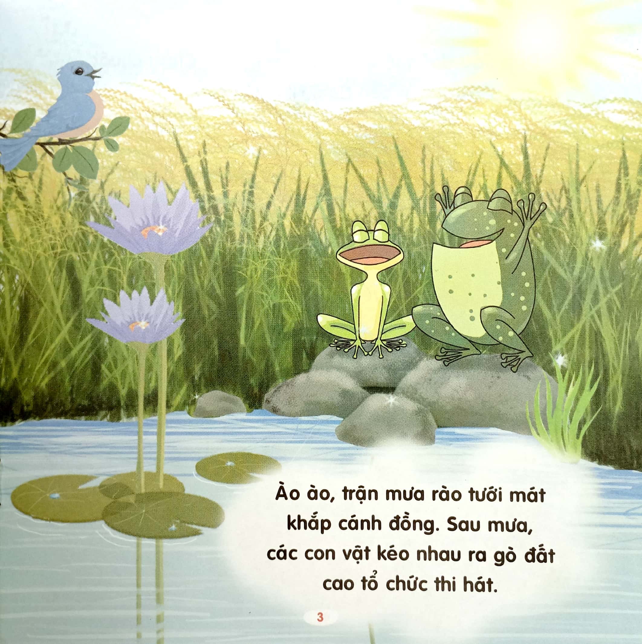 kể chuyện mẫu giáo - vì sao ếch hát hay? - Ảnh 5
