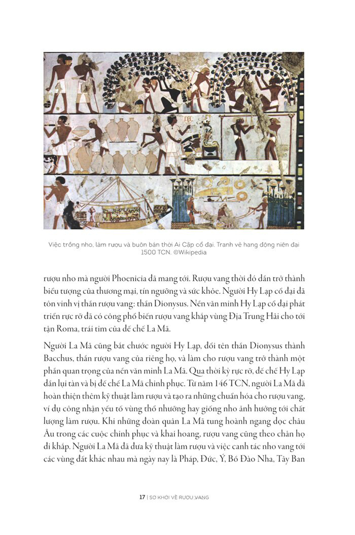 kể chuyện rượu vang (tái bản) - Ảnh 6