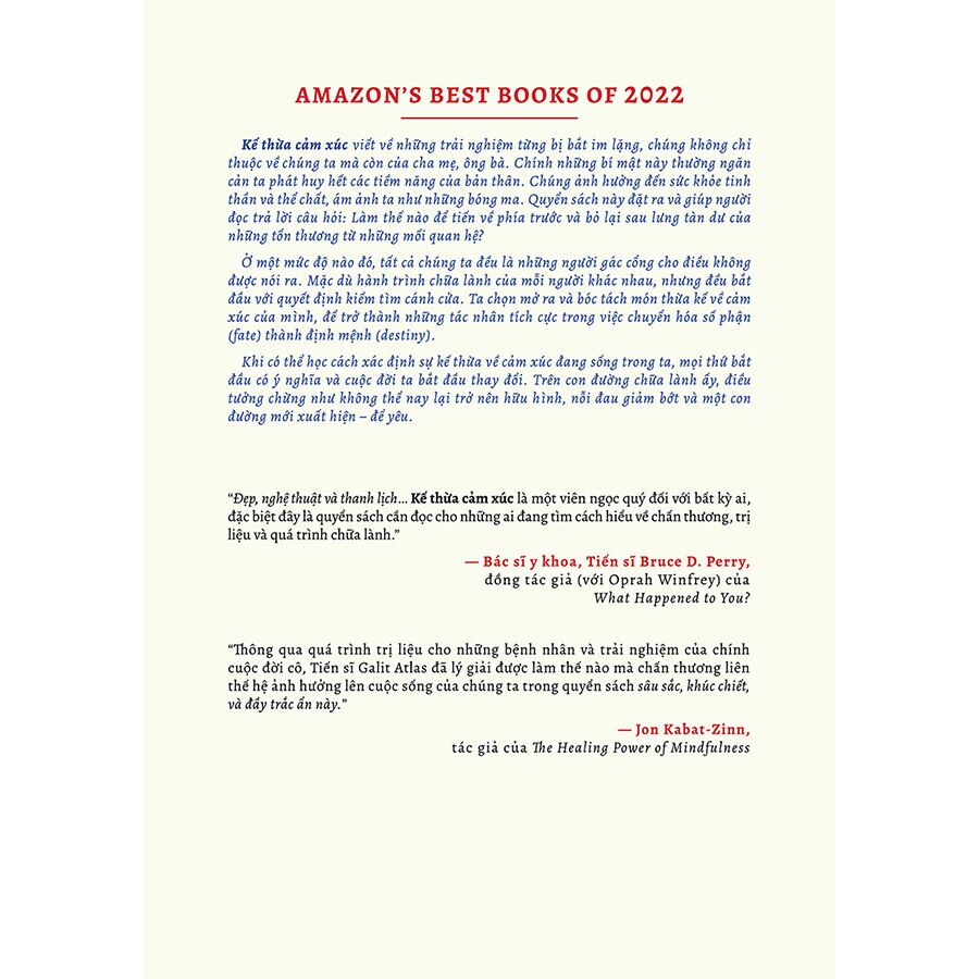 kế thừa cảm xúc - Ảnh 4