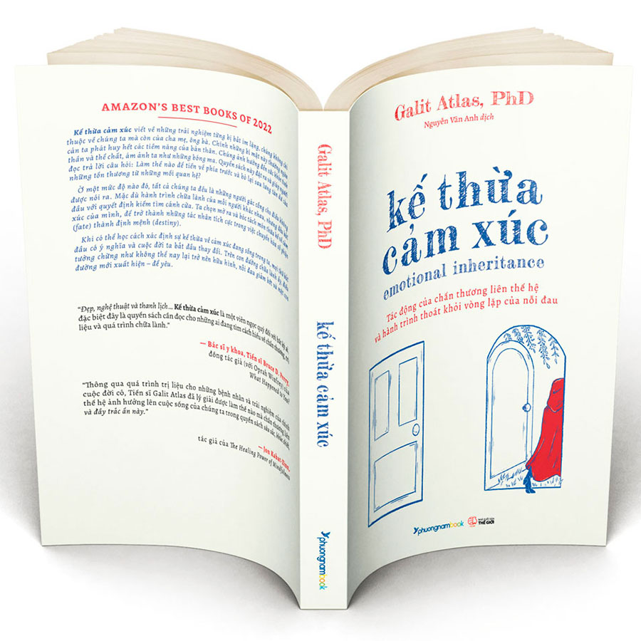 kế thừa cảm xúc - Ảnh 7