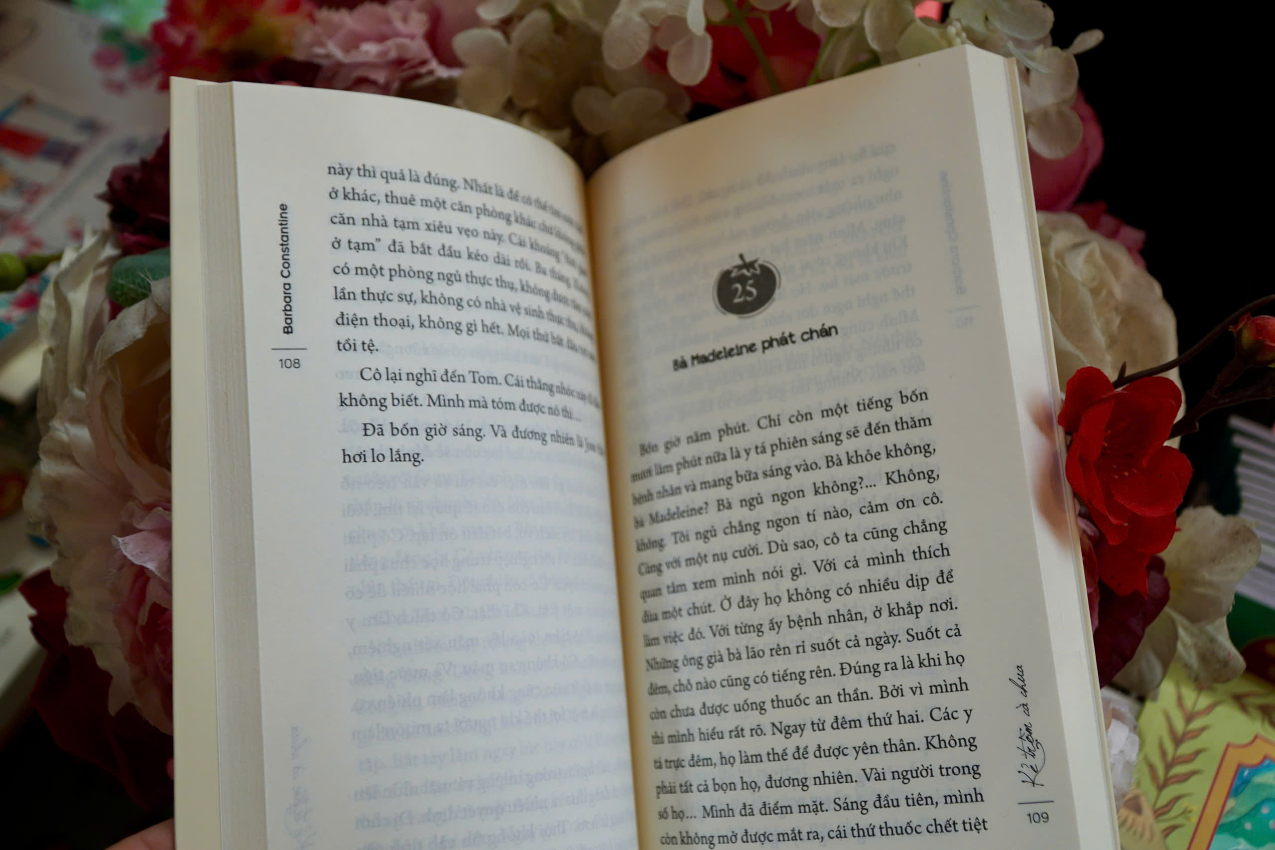 Kẻ Trộm Cà Chua - Ảnh 4