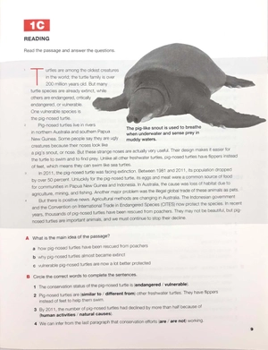 keynote american edition 2: workbook - Ảnh 5