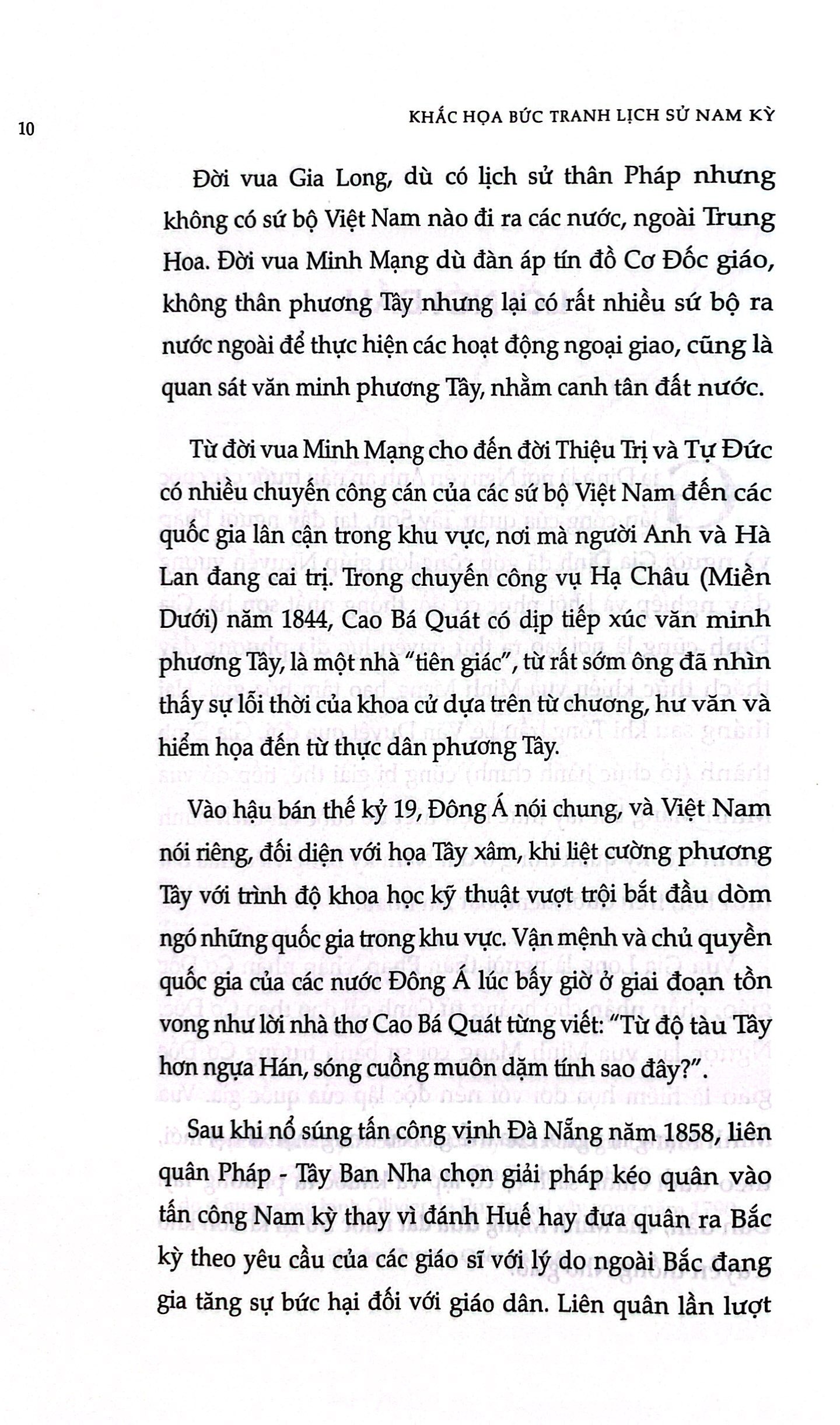 khắc họa bức tranh lịch sử nam kỳ - Ảnh 4