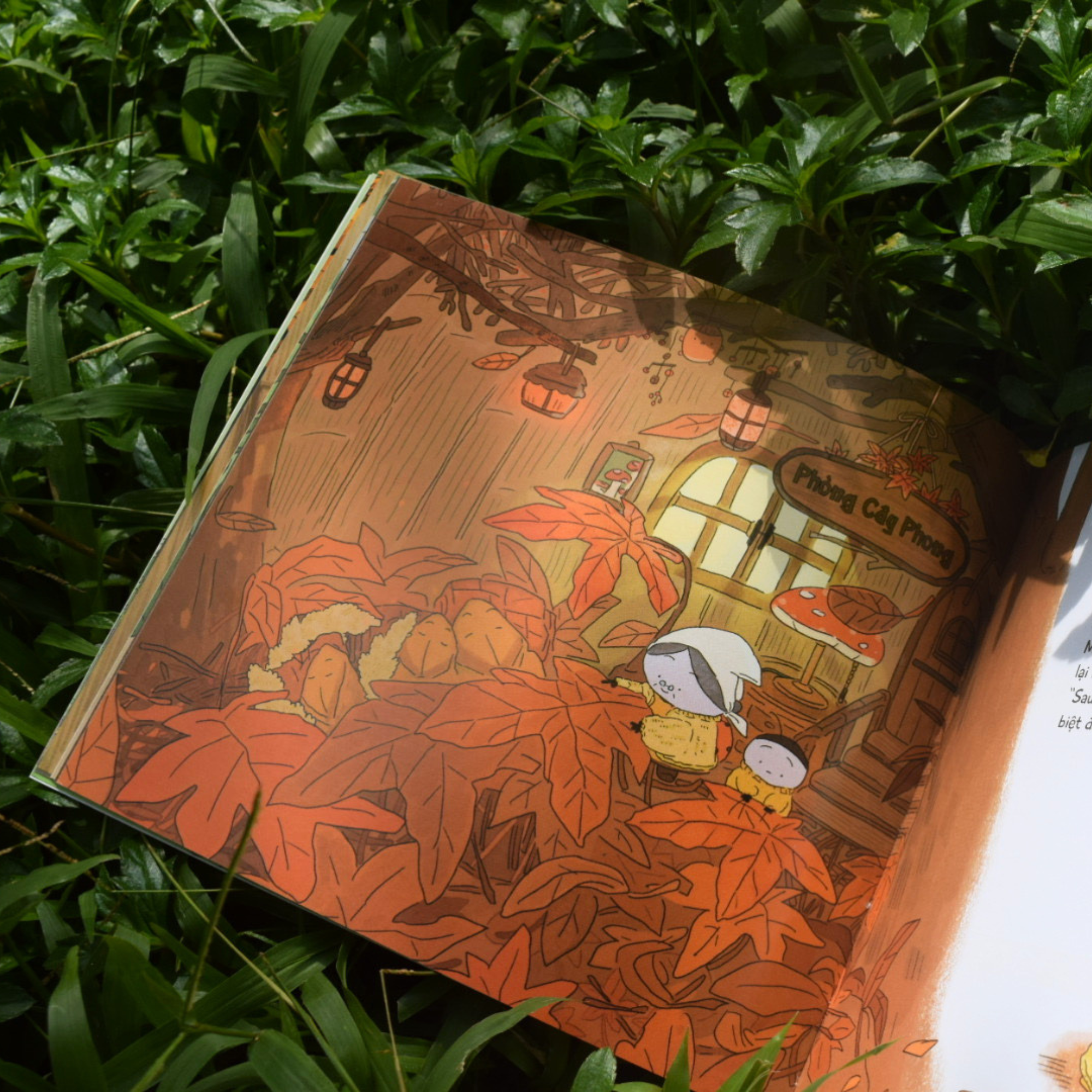 Khách Sạn Côn Trùng - Ảnh 10