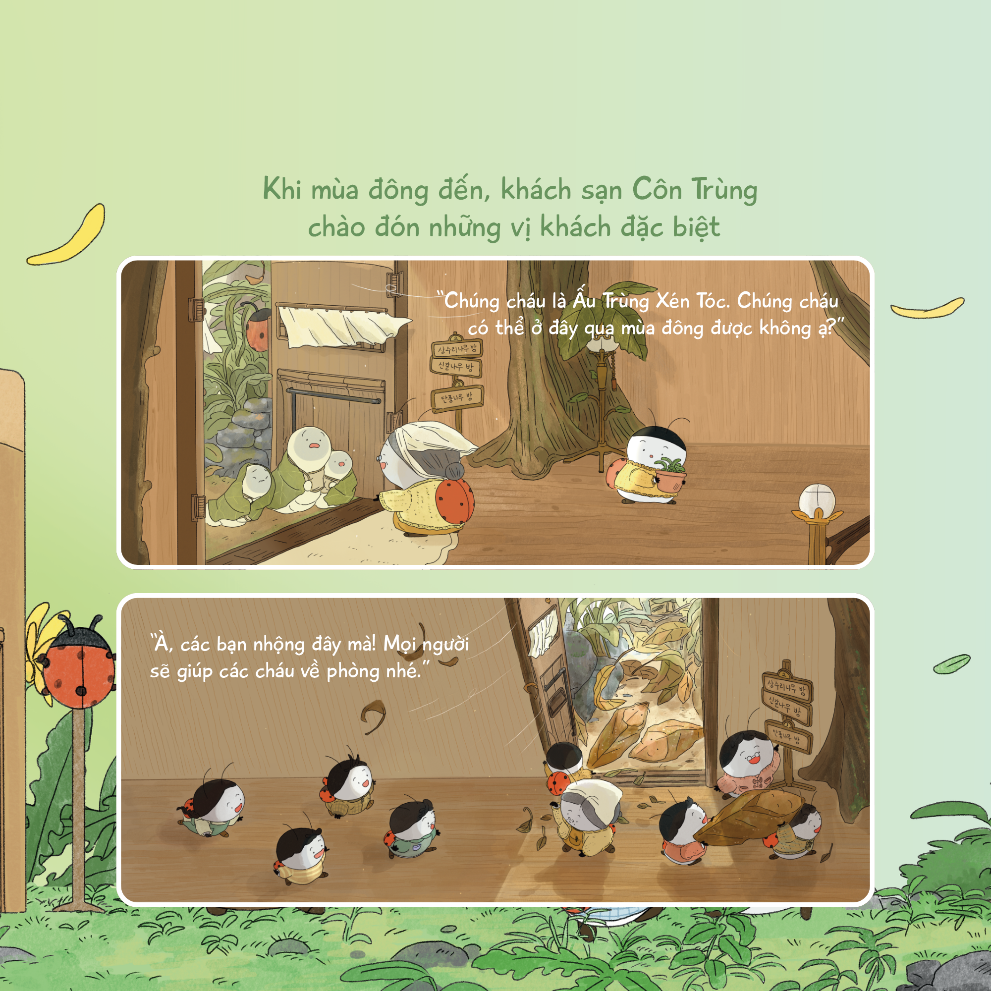 Khách Sạn Côn Trùng - Ảnh 5