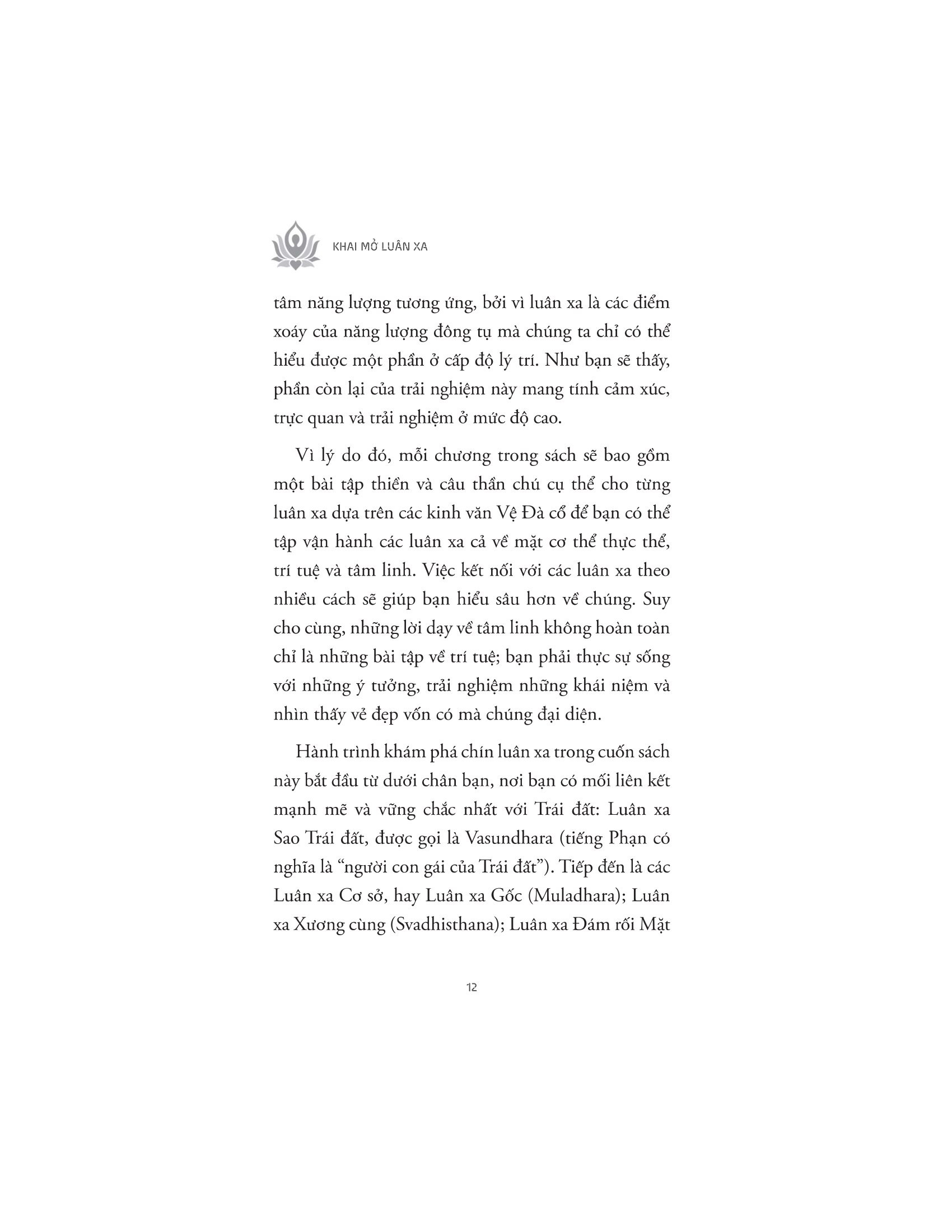 khai mở luân xa - Ảnh 10