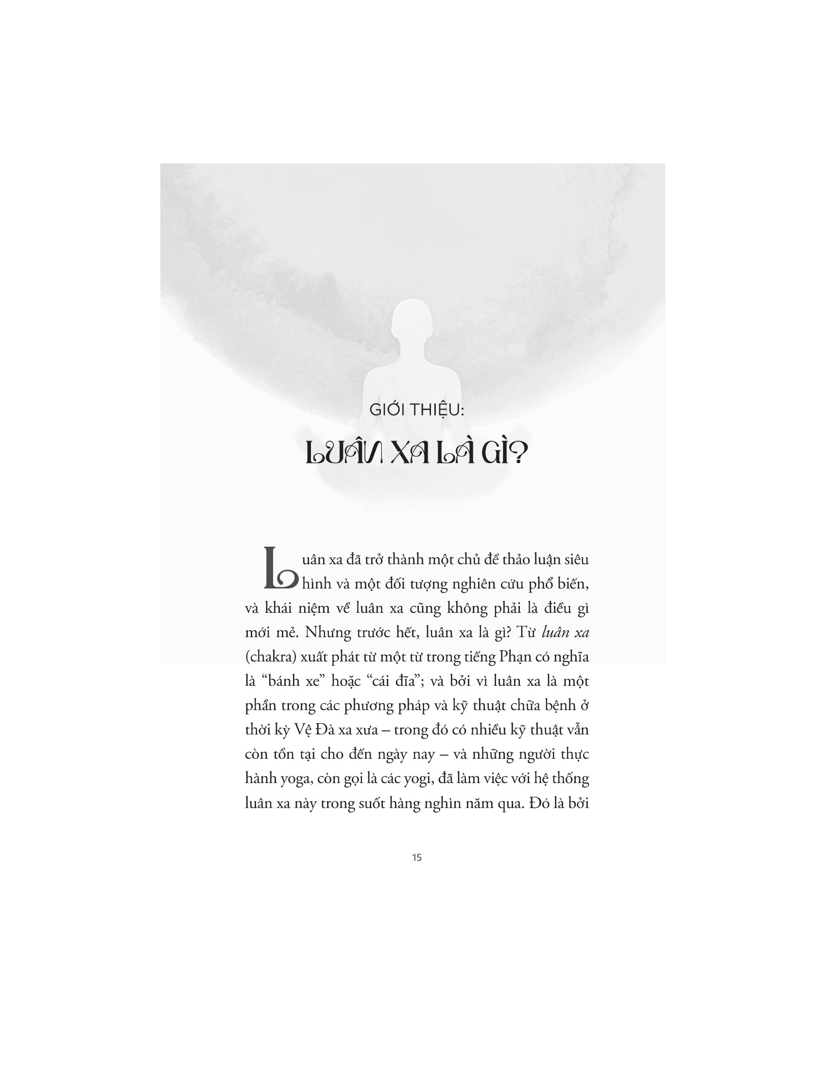 khai mở luân xa - Ảnh 13