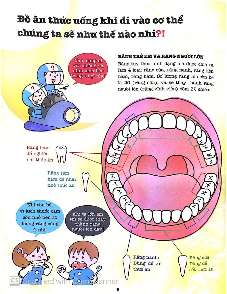 khám phá bí ẩn cơ thể người (tái bản 2022) - Ảnh 3