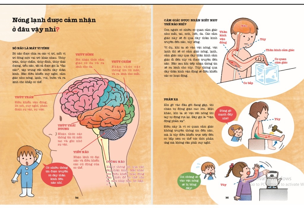 khám phá bí ẩn cơ thể người (tái bản 2022) - Ảnh 5