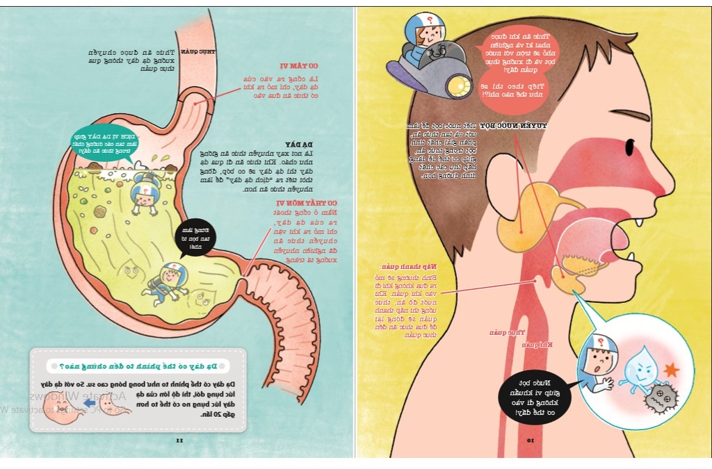 khám phá bí ẩn cơ thể người (tái bản 2022) - Ảnh 6