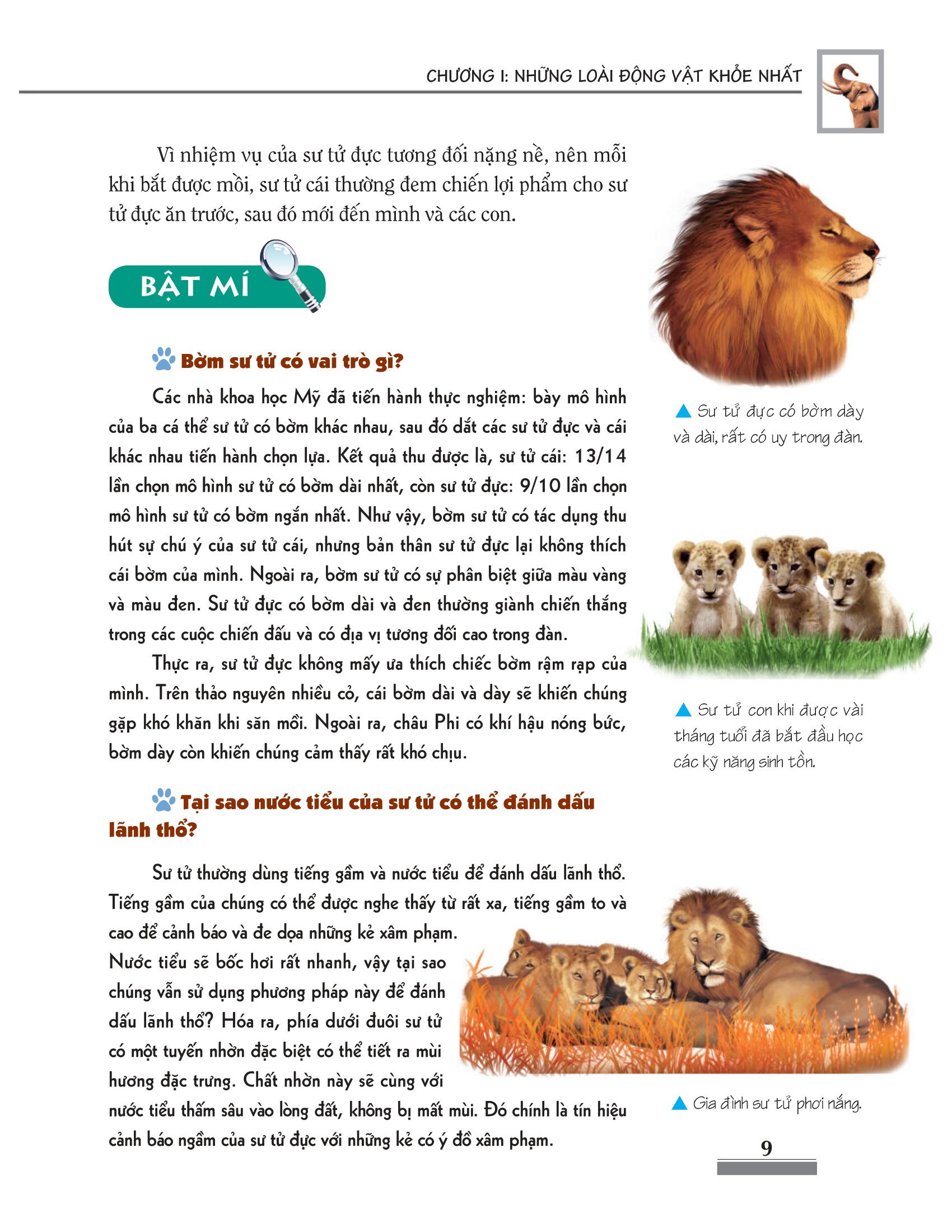 khám phá bí ẩn thế giới tự nhiên dành cho học sinh - động vật (tái bản 2023) - Ảnh 10