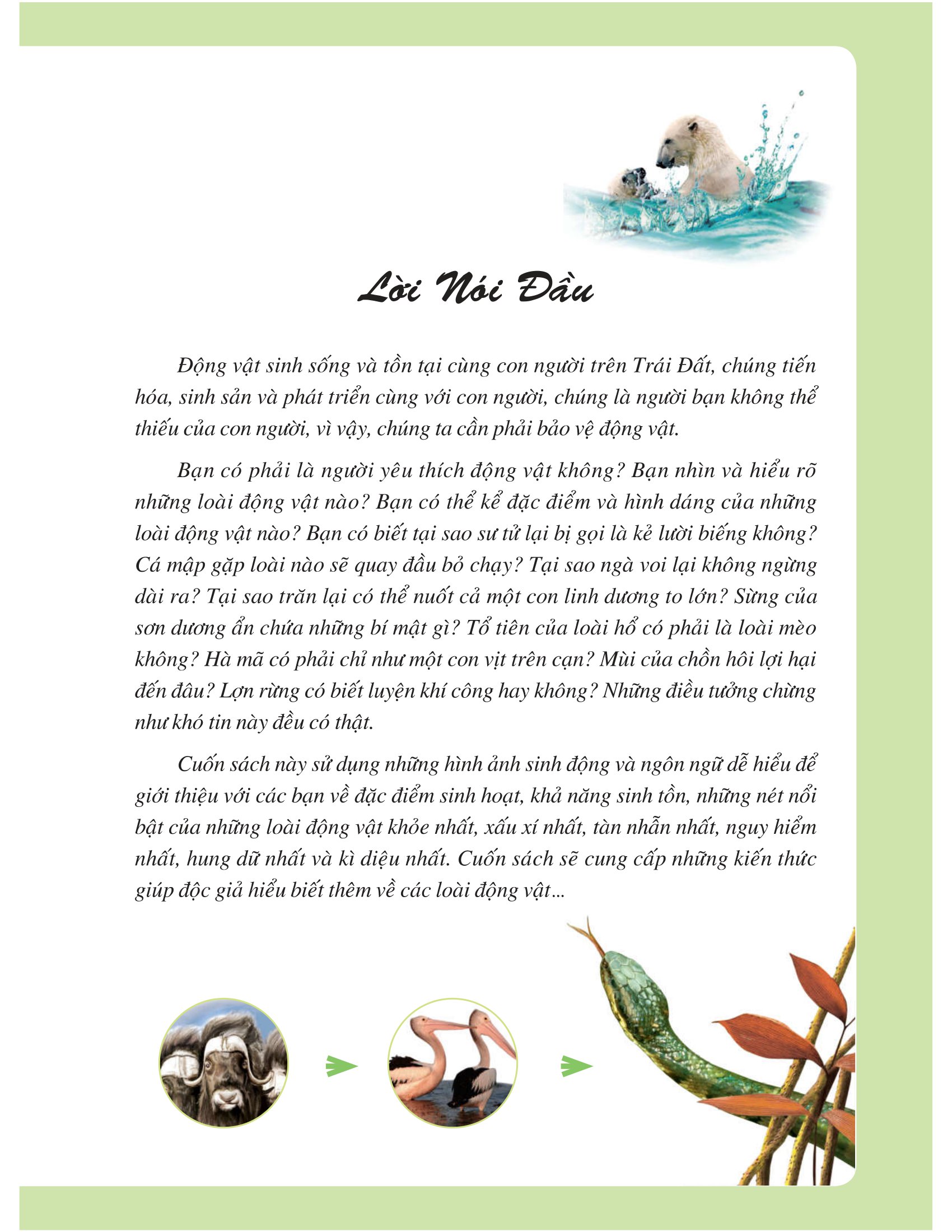 khám phá bí ẩn thế giới tự nhiên dành cho học sinh - động vật (tái bản 2023) - Ảnh 4
