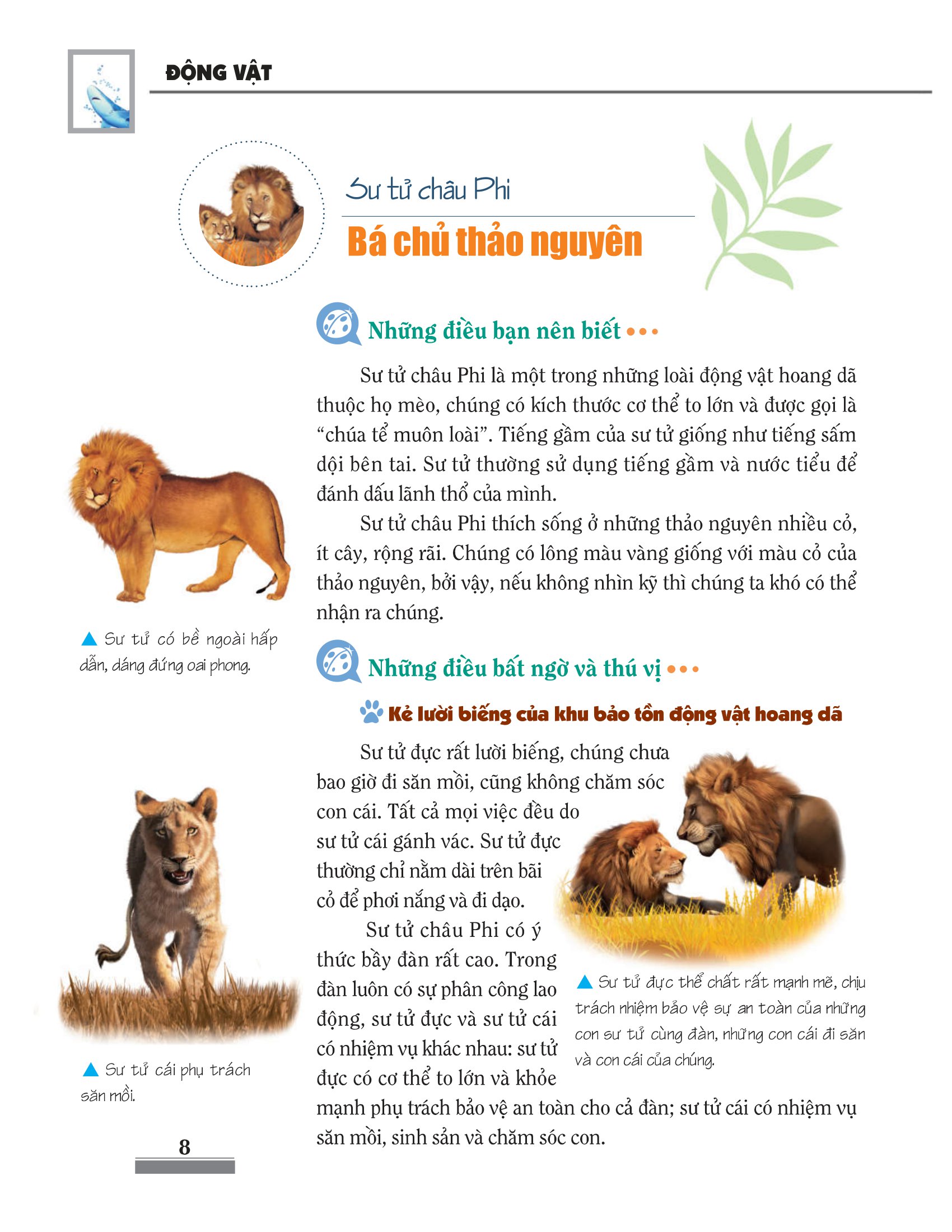 khám phá bí ẩn thế giới tự nhiên dành cho học sinh - động vật (tái bản 2023) - Ảnh 9