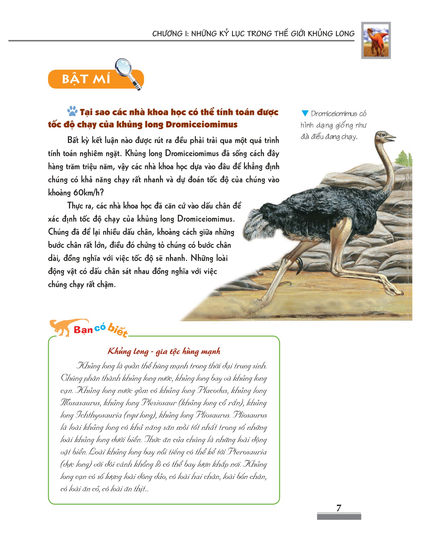 khám phá bí ẩn thế giới tự nhiên: khủng long (tái bản) - Ảnh 8