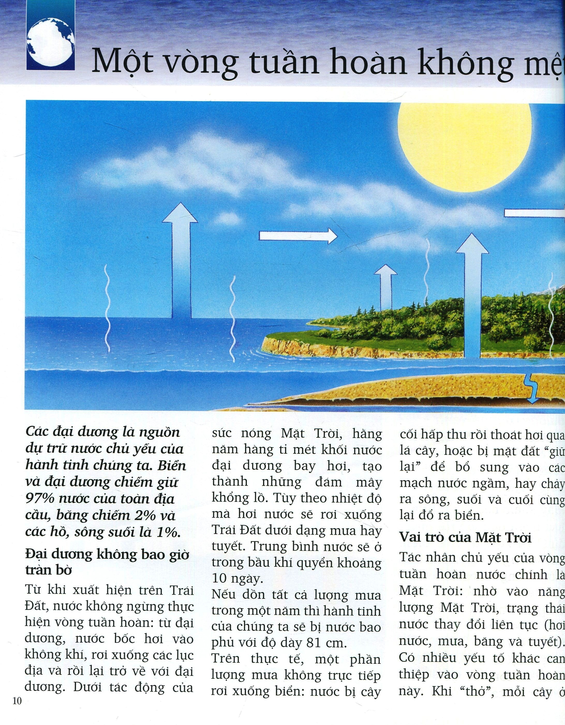 Khám Phá Biển - Bìa Cứng (Tái Bản 2025) - Ảnh 7