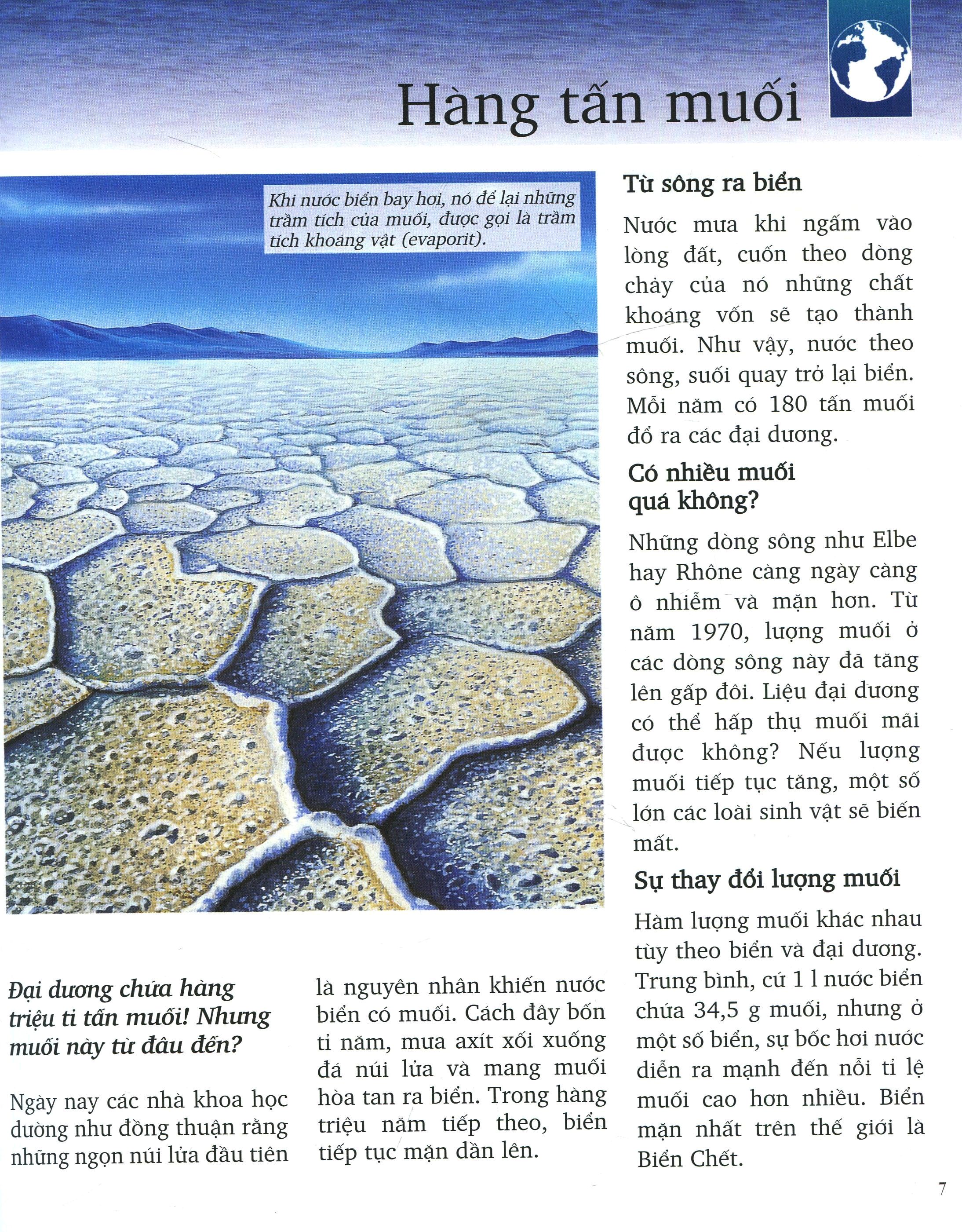 Khám Phá Biển (Tái Bản 2019) - Ảnh 4