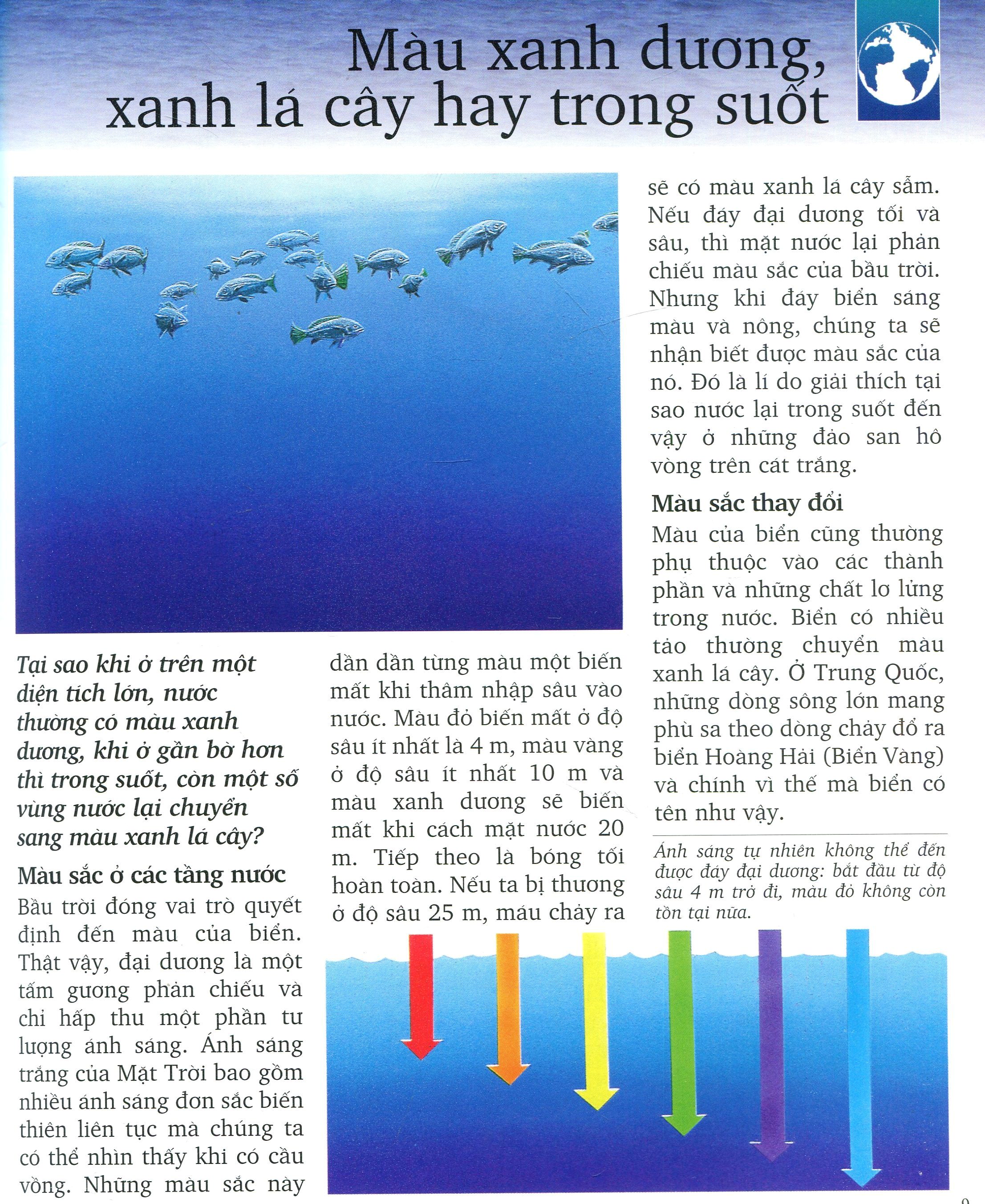 Khám Phá Biển (Tái Bản 2019) - Ảnh 6