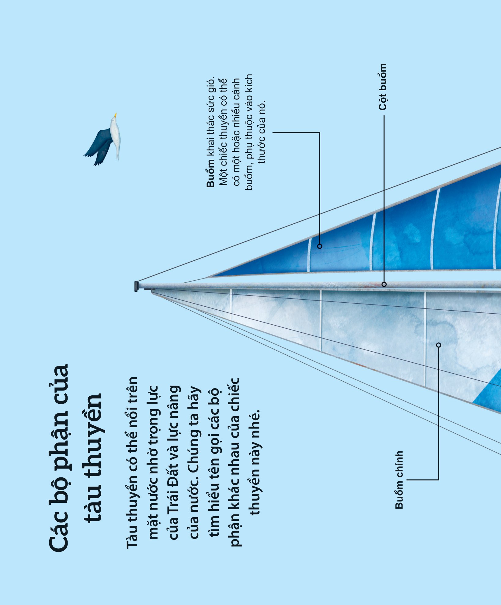 khám phá các phương tiện vận chuyển trên thế giới - tàu thuyền và những phương tiện nổi khác - Ảnh 5