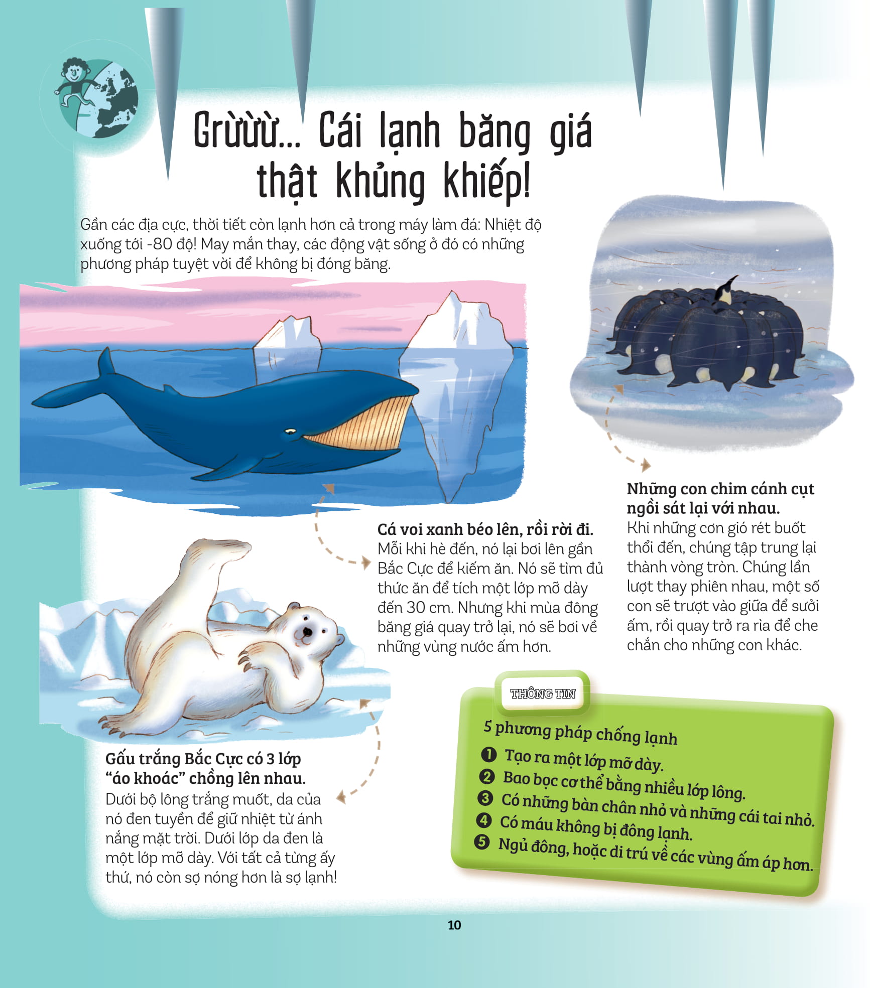 khám phá đầu tiên của tớ về… - những kỷ lục thế giới - Ảnh 3