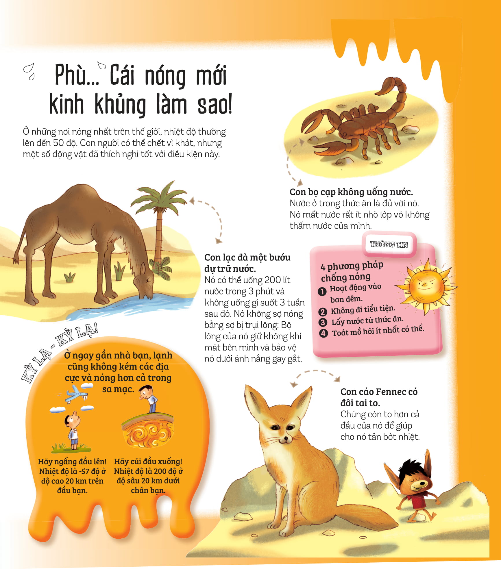 khám phá đầu tiên của tớ về… - những kỷ lục thế giới - Ảnh 4