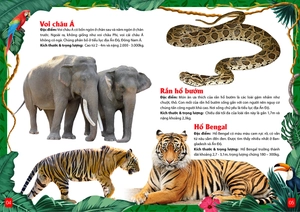 khám phá động vật 5 châu - châu á - Ảnh 5