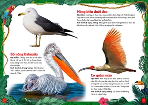 khám phá động vật 5 châu - châu á - Ảnh 7