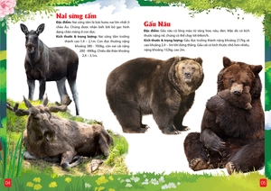 khám phá động vật 5 châu - châu âu - Ảnh 5