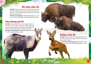 khám phá động vật 5 châu - châu âu - Ảnh 6