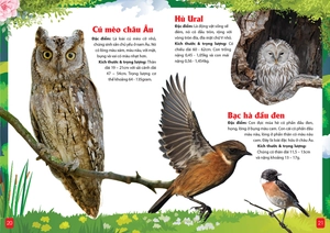 khám phá động vật 5 châu - châu âu - Ảnh 7