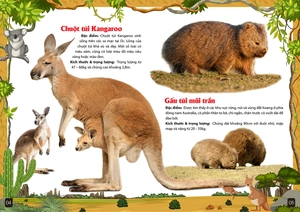 khám phá động vật 5 châu - châu đại dương - Ảnh 5