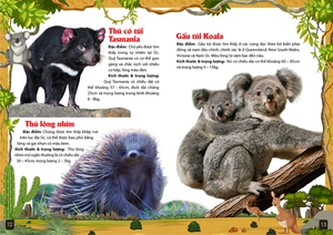 khám phá động vật 5 châu - châu đại dương - Ảnh 6