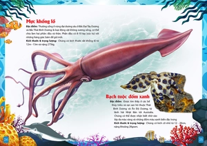 khám phá động vật 5 châu - châu đại dương - Ảnh 7