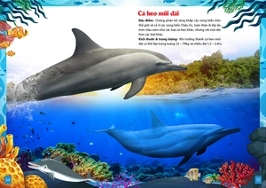 khám phá động vật 5 châu - châu đại dương - Ảnh 8