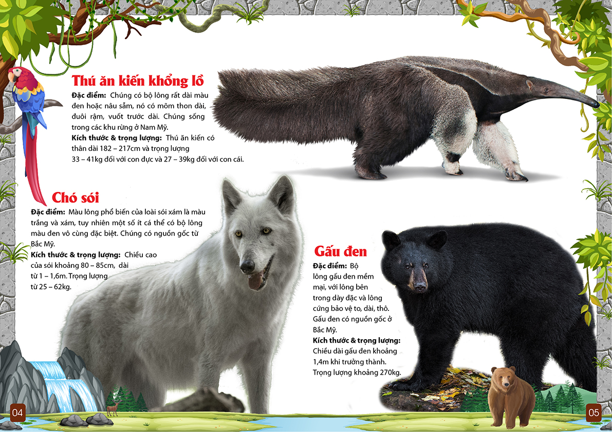 khám phá động vật 5 châu - châu mỹ - Ảnh 5