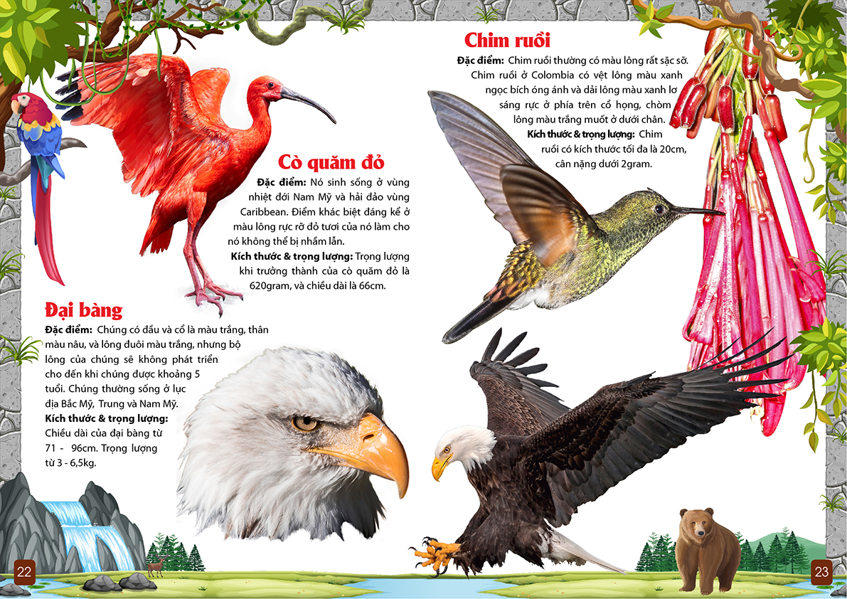 khám phá động vật 5 châu - châu mỹ - Ảnh 7