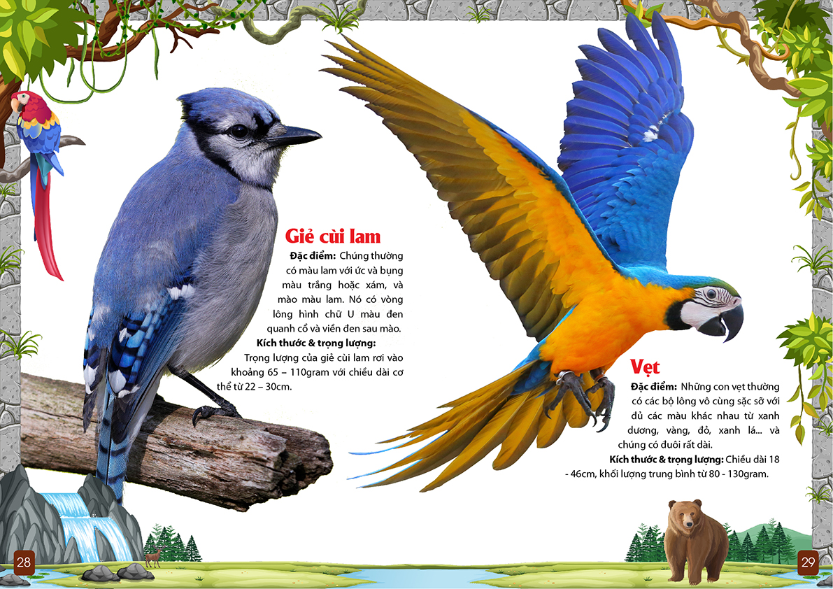 khám phá động vật 5 châu - châu mỹ - Ảnh 8