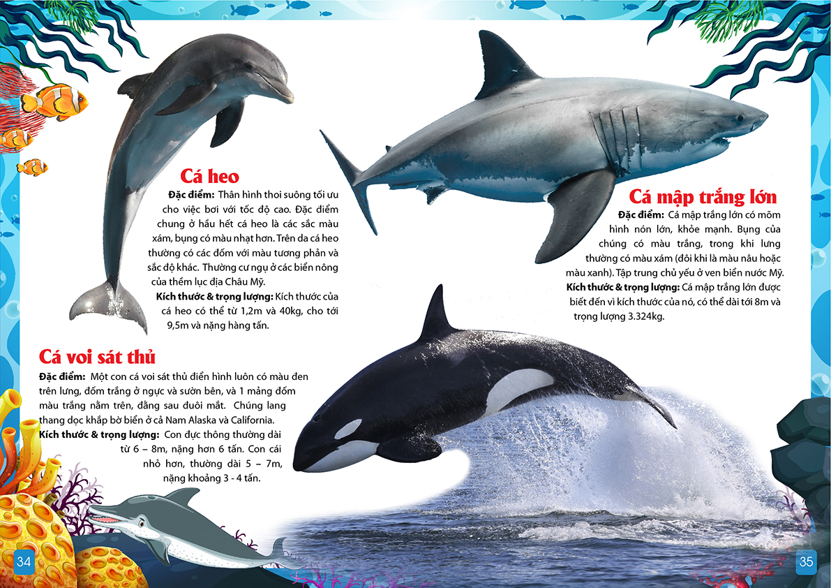 khám phá động vật 5 châu - châu mỹ - Ảnh 9