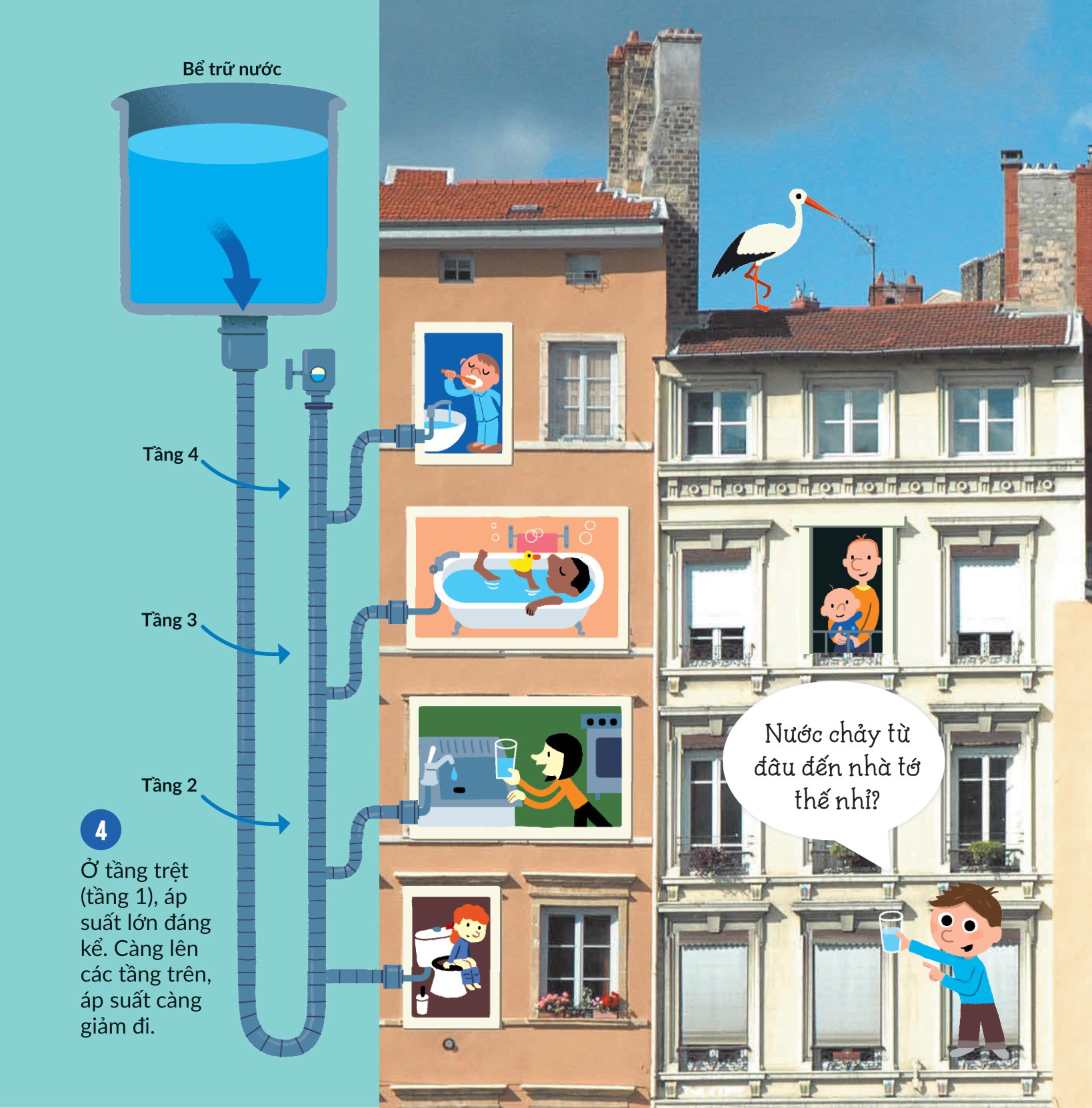 khám phá khoa học - thân thiện môi trường - nước tớ uống có từ đâu nhỉ? - Ảnh 5